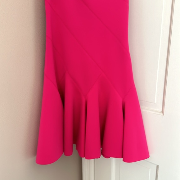 Derek Lam 10 Crosby hot pink dress size 2. - Picture 3 of 6